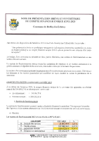 synthese CFU 2025